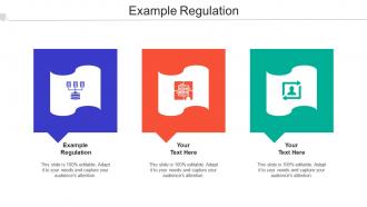 Example Regulation Ppt Powerpoint Presentation Icon Brochure Cpb
