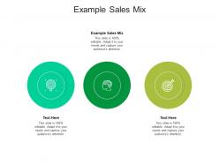Example sales mix ppt powerpoint presentation file deck cpb
