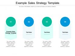 Example sales strategy template ppt powerpoint presentation icon designs cpb