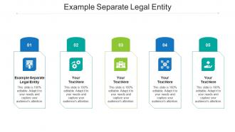 Example separate legal entity ppt powerpoint presentation layouts graphic images cpb