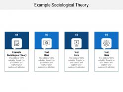 Example sociological theory ppt powerpoint presentation infographic template diagrams cpb