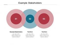 Example stakeholders ppt powerpoint presentation layouts deck cpb