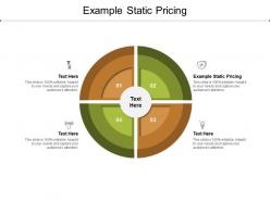 Example static pricing ppt powerpoint presentation portfolio tips cpb