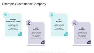 Example Sustainable Company In Powerpoint And Google Slides Cpb