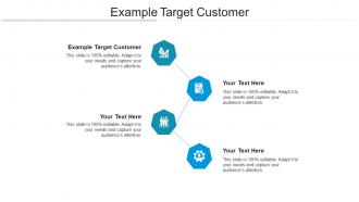 Example target customer ppt powerpoint presentation professional summary cpb