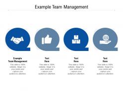 Example team management ppt powerpoint presentation pictures portfolio cpb