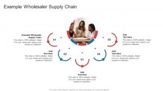 Example Wholesaler Supply Chain In Powerpoint And Google Slides Cpb