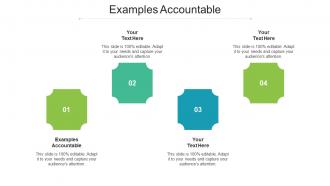 Examples Accountable Ppt Powerpoint Presentation Model Portfolio Cpb