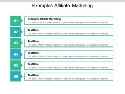 Examples affiliate marketing ppt powerpoint presentation styles skills cpb