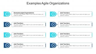 Examples Agile Organizations In Powerpoint And Google Slides Cpb