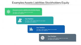 Examples Assets Liabilities Stockholders Equity Ppt Powerpoint Presentation Icon Files Cpb