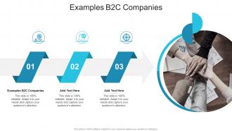 Examples B2C Companies In Powerpoint And Google Slides Cpb