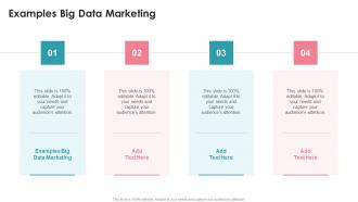Examples Big Data Marketing In Powerpoint And Google Slides Cpb
