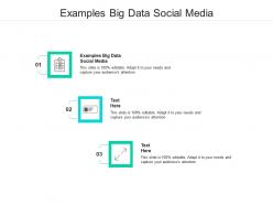 Examples big data social media ppt powerpoint presentation professional guide cpb