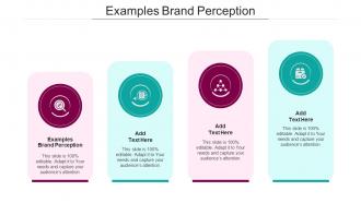 Examples Brand Perception Ppt Powerpoint Presentation Gallery Vector Cpb