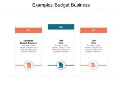 Examples budget business ppt powerpoint presentation outline layouts cpb