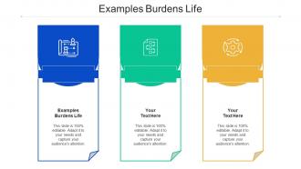 Examples Burdens Life Ppt Powerpoint Presentation Portfolio Designs Cpb
