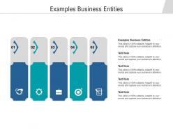Examples business entities ppt powerpoint presentation summary background cpb