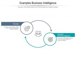 Examples business intelligence ppt powerpoint presentation portfolio gallery cpb