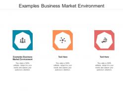 Examples business market environment ppt powerpoint presentation file graphics template cpb