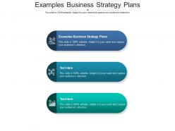 Examples business strategy plans ppt powerpoint presentation infographics aids cpb