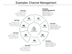 Examples channel management ppt powerpoint summary templates cpb
