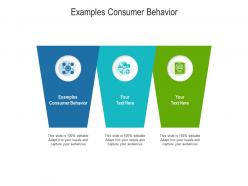 Examples consumer behavior ppt powerpoint presentation icon sample cpb