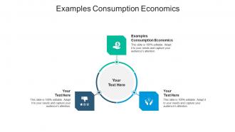 Examples consumption economics ppt powerpoint presentation file designs cpb