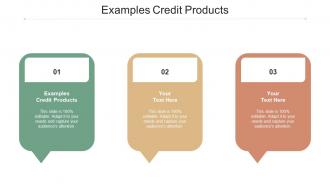 Examples Credit Products Ppt Powerpoint Presentation Portfolio Show Cpb