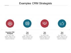 Examples crm strategists ppt powerpoint presentation slides example cpb