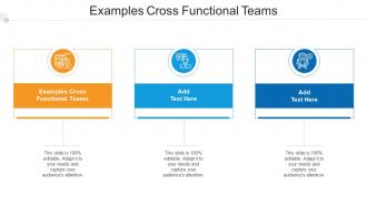 Examples Cross Functional Teams In Powerpoint And Google Slides Cpb