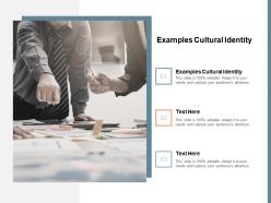 Examples cultural identity ppt powerpoint presentation portfolio graphics tutorials cpb