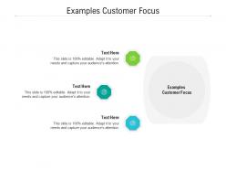 Examples customer focus ppt powerpoint presentation file professional cpb