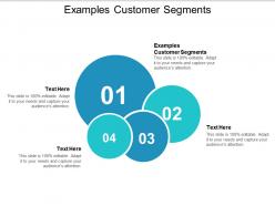 Examples customer segments ppt powerpoint presentation ideas slides cpb