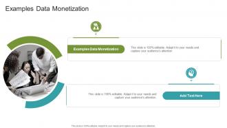 Examples Data Monetization In Powerpoint And Google Slides Cpb