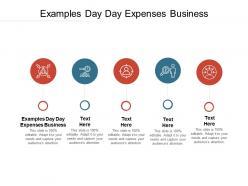 Examples day day expenses business ppt powerpoint presentation layouts files cpb