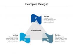 Examples delegat ppt powerpoint presentation file display cpb