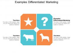 Examples differentiated marketing ppt powerpoint presentation styles graphics cpb