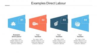 Examples Direct Labour Ppt Powerpoint Presentation Gallery Grid Cpb