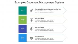 Examples document management system ppt powerpoint presentation layouts slide cpb