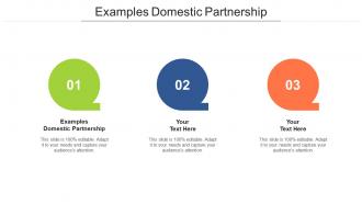 Examples domestic partnership ppt powerpoint presentation outline clipart cpb