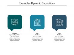 Examples dynamic capabilities ppt powerpoint presentation infographic template graphics download cpb