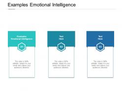 Examples emotional intelligence ppt powerpoint presentation gallery cpb
