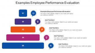 Examples Employee Performance Evaluation Ppt Powerpoint Presentation Slides Deck Cpb