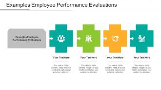Examples Employee Performance Evaluations Ppt Powerpoint Presentation Ideas Cpb