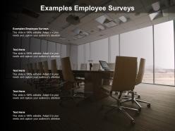 Examples employee surveys ppt powerpoint presentation infographics gallery cpb