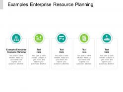 Examples enterprise resource planning ppt powerpoint presentation sample cpb