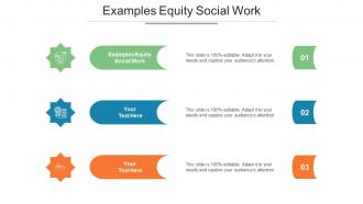 Examples Equity Social Work Ppt Powerpoint Presentation Portfolio Ideas Cpb