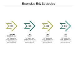 Examples exit strategies ppt powerpoint presentation professional example file cpb