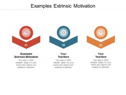 Examples extrinsic motivation ppt powerpoint presentation slides gallery cpb